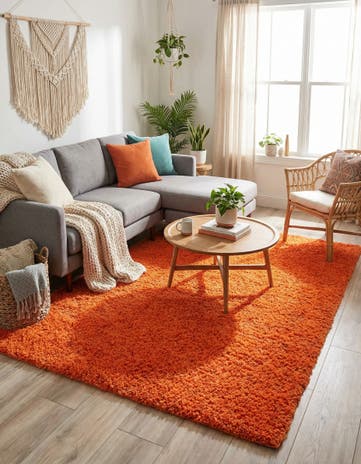 9' x 12' Solid Shag Rug