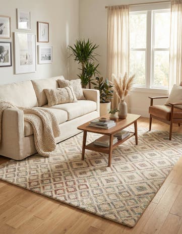 5' x 7' Luna Rug