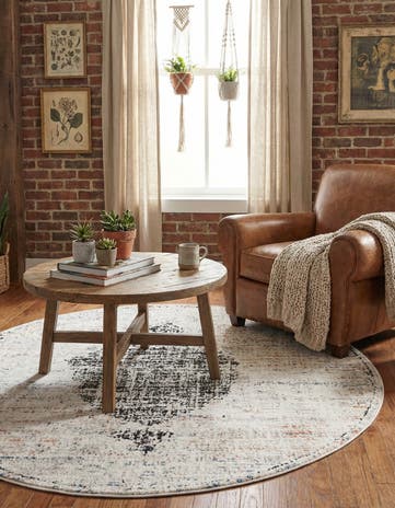 5' 3 x 5' 3 Aramis Round Rug