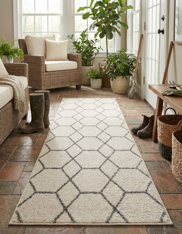 Detail image of  2' x 6' Lattice Frieze Runner Rug