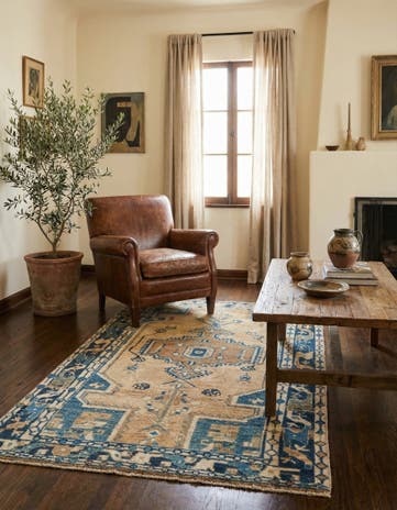 3' 4 x 5' 5 Hamedan Rug