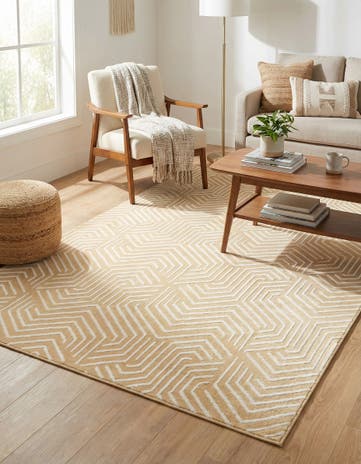 4' x 6' Aakaar Rug