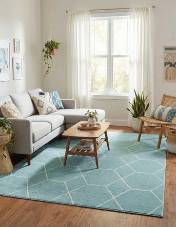 6' x 9' Lattice Frieze Rug