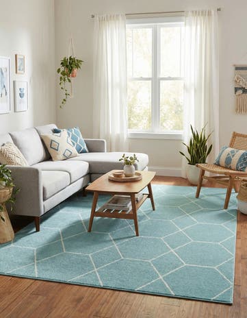 6' x 9' Lattice Frieze Rug