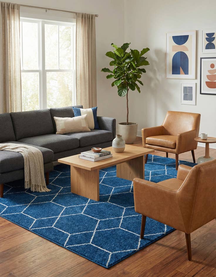 Detail image of 10' x 13' Trellis Frieze Rug