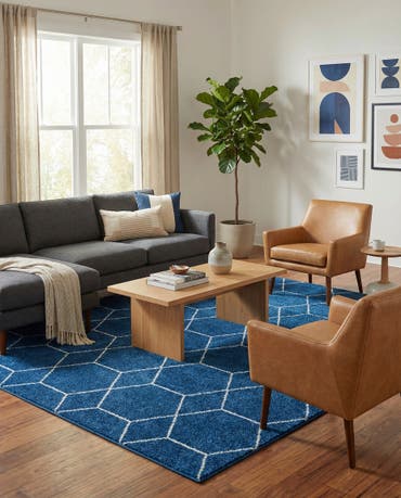  10' x 13' Lattice Frieze Rug