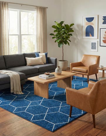 10' x 13' Lattice Frieze Rug