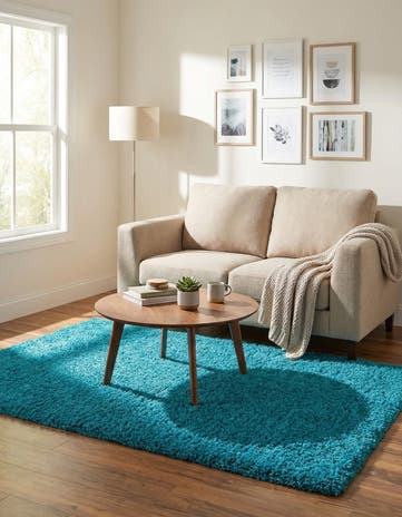 4' x 6' Solid Shag Rug