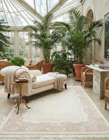 4' x 6' Darya Rug