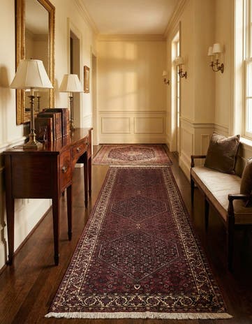 2' 9 x 10' 6 Bidjar Wool Runner Rug