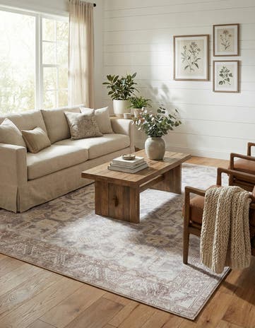 Gray Washable Timeless Rug