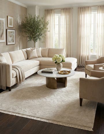 6' 11 x 9' 6 Hand Knotted Darya Rug