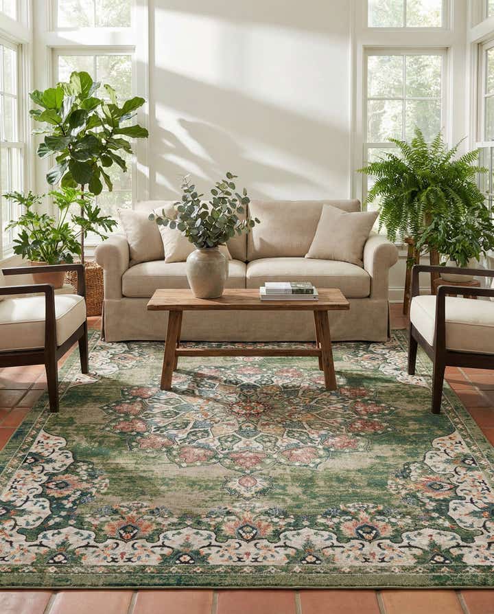 10' x 14' Isabella Rug