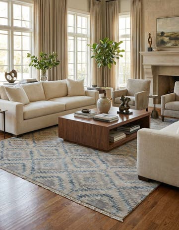 9' 5 x 13' Hand Knotted Darya Rug