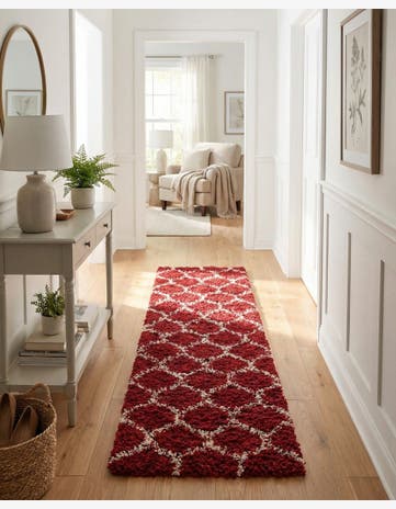 2' 7 x 10' Trellis Shag Runner Rug