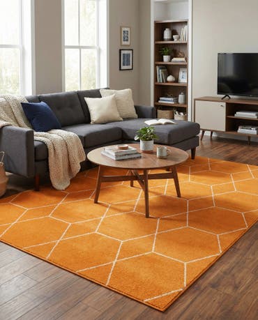  6' x 9' Lattice Frieze Rug