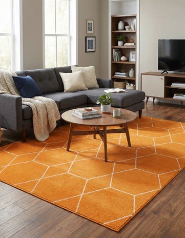 6' x 9' Lattice Frieze Rug