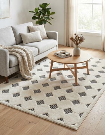 5' 3 x 8' Prismatic Rug