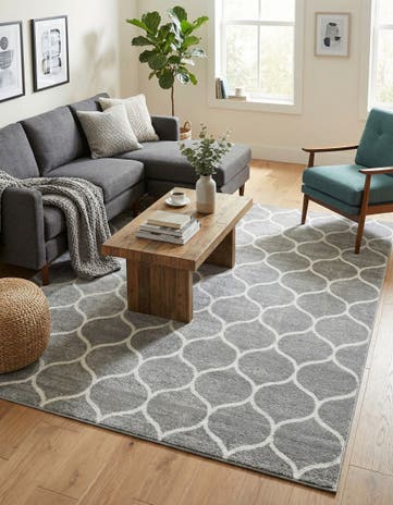 9' x 12' Trellis Frieze Rug