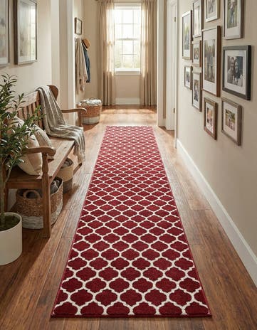2' 7 x 19' 8 Trellis Runner Rug