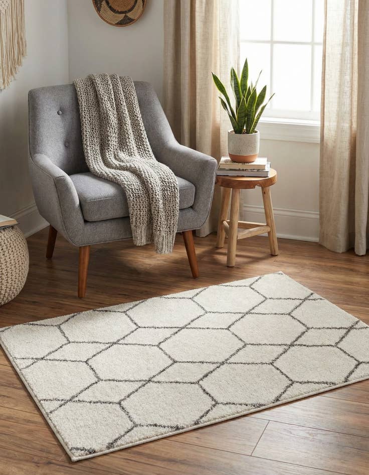 Detail image of  2' x 3' Lattice Frieze Rug