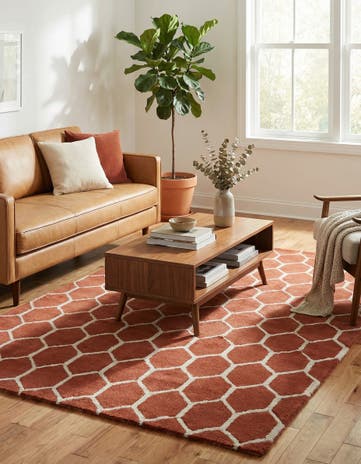 5' x 7' 10 Luna Rug
