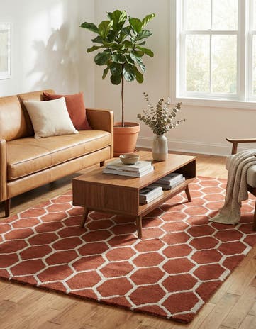 5' x 7' 10 Luna Rug