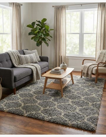 4' x 6' Trellis Shag Rug