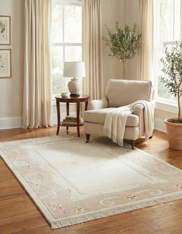 2' 8 x 5' Hand Knotted Darya Rug