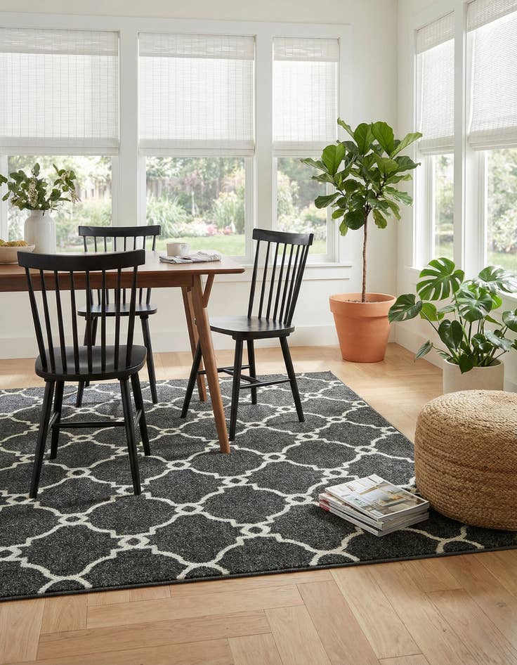 Detail image of 4' x 6' Easy-Clean Trellis Indoor / Outdoor Rug