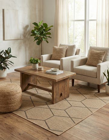 4' 3 x 6' Dunes Rug