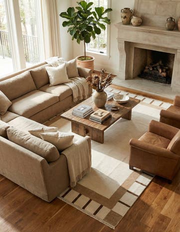 9' 9 x 12' 10 Hand Knotted Darya Wool Rug