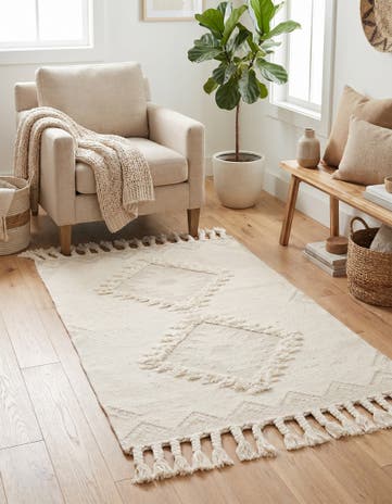 3' 3 x 5' 1 Hand Woven Arizona Wool Rug