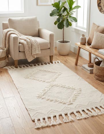 3' 3 x 5' 1 Hand Woven Arizona Wool Rug
