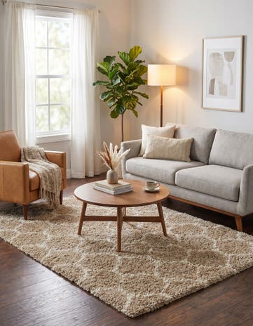 6' x 9' Lattice Shag Rug
