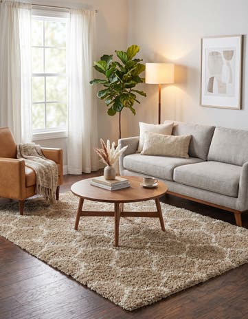 6' x 9' Lattice Shag Rug