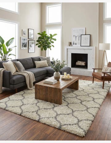 Ivory Trellis Shag Rug