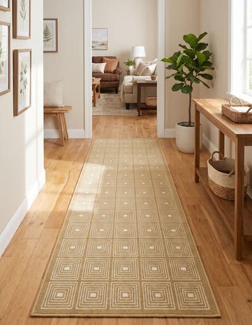 60cm x 245cm Aakaar Runner Rug