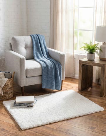 2' x 3' Zermatt Shag Rug