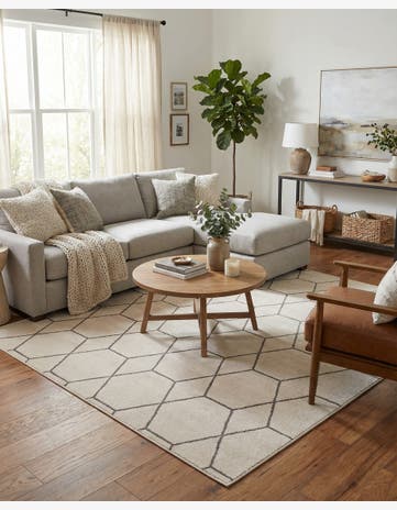 10' x 10' Trellis Frieze Square Rug