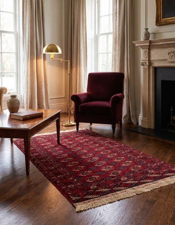 3' 11 x 6' Bokhara Rug