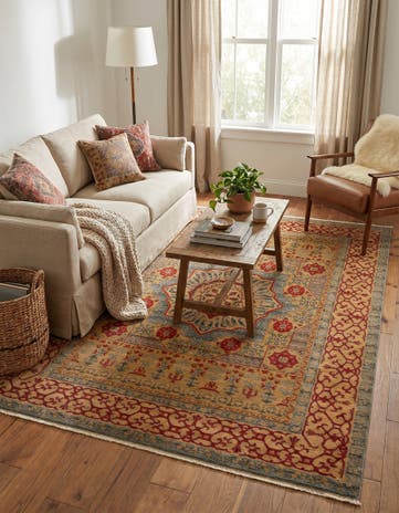 9' x 12' Amina Rug