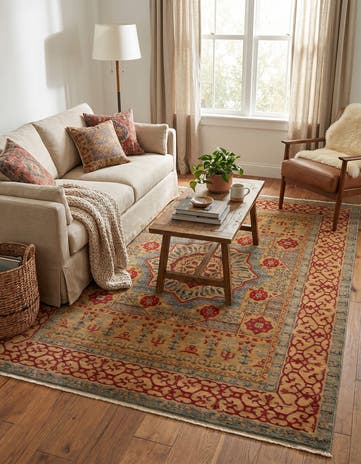 9' x 12' Amina Rug