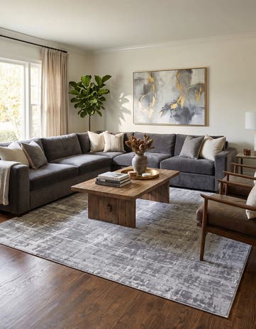 Gray Valencia Rug