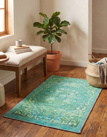 2' x 3' Washable Francesca Rug