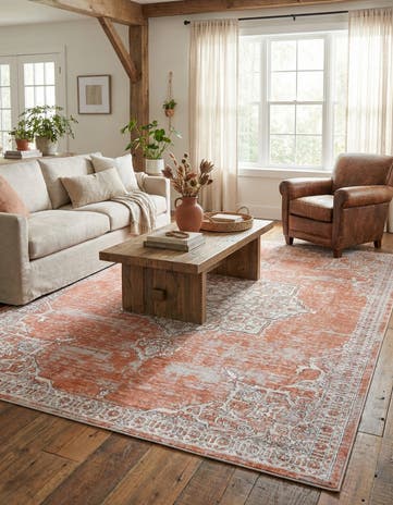 10' x 14' Nyla Rug