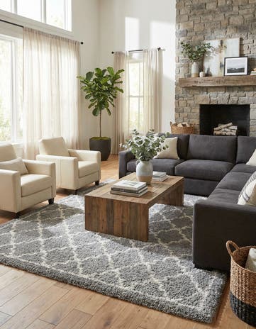 Ash Gray Infinity Shag Rug