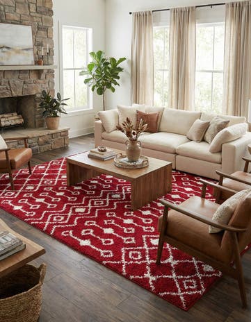 10' x 13' Moroccan Trellis Shag Rug