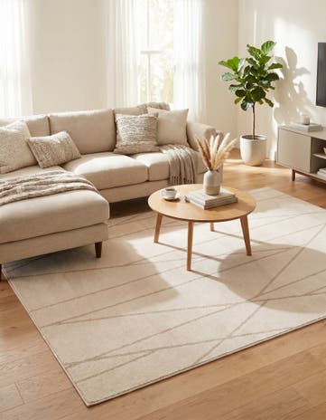 5' x 8' Contour Rug