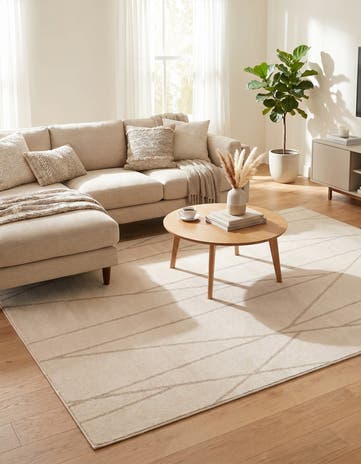 5' x 8' Contour Rug